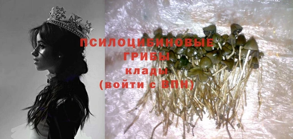 2c-b Лиски