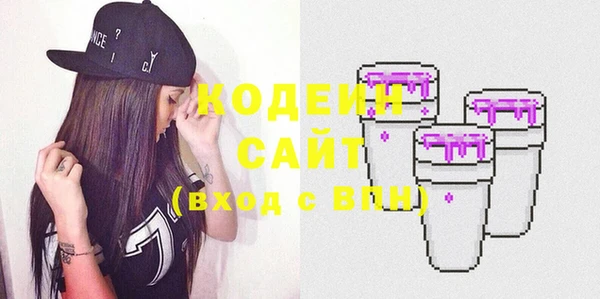 гашик Майский
