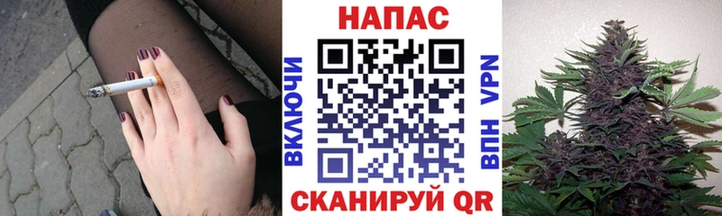 цены наркотик  мега ссылка  Бошки марихуана VHQ  Ростов-на-Дону 